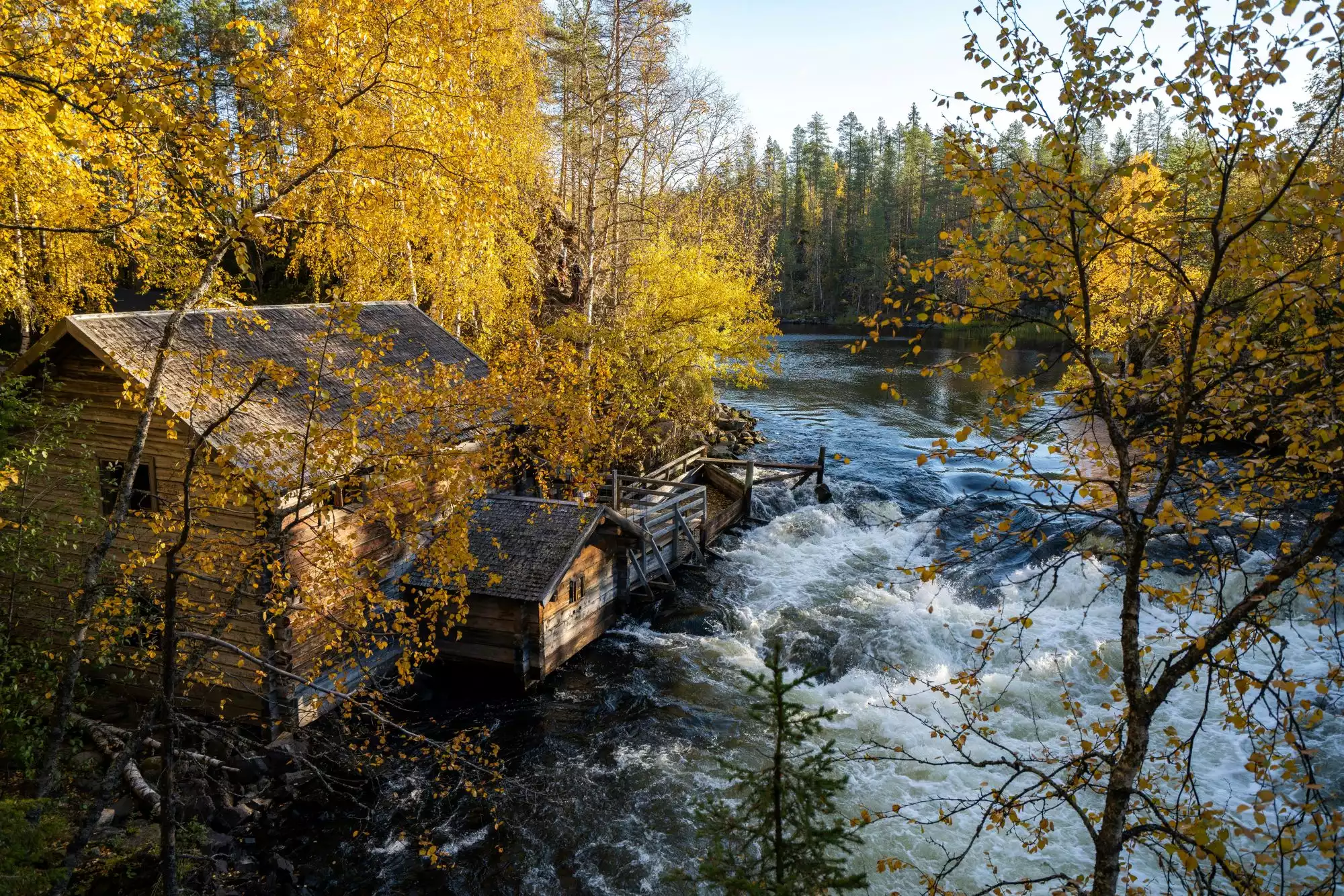 Oulanka Nationaal Park