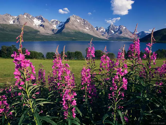 De Lyngen Alpen