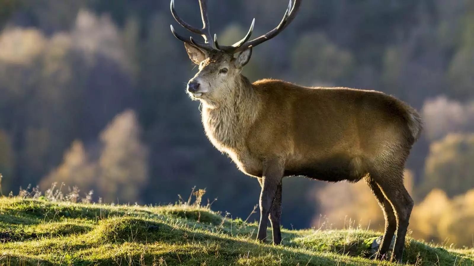 Land van Rob Roy en Loch Katrine