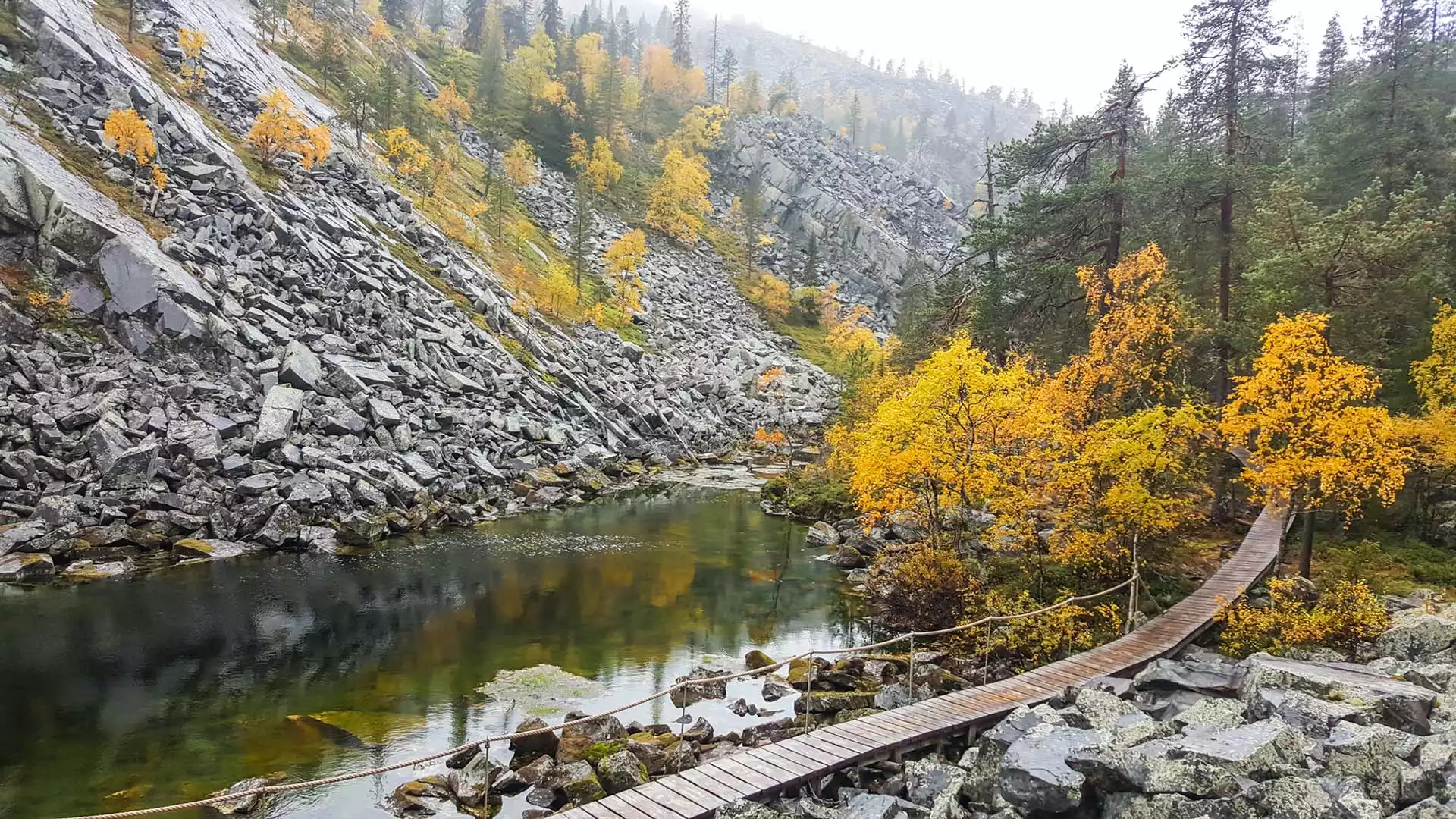 Via Isokuru naar Salla Wilderness Park 