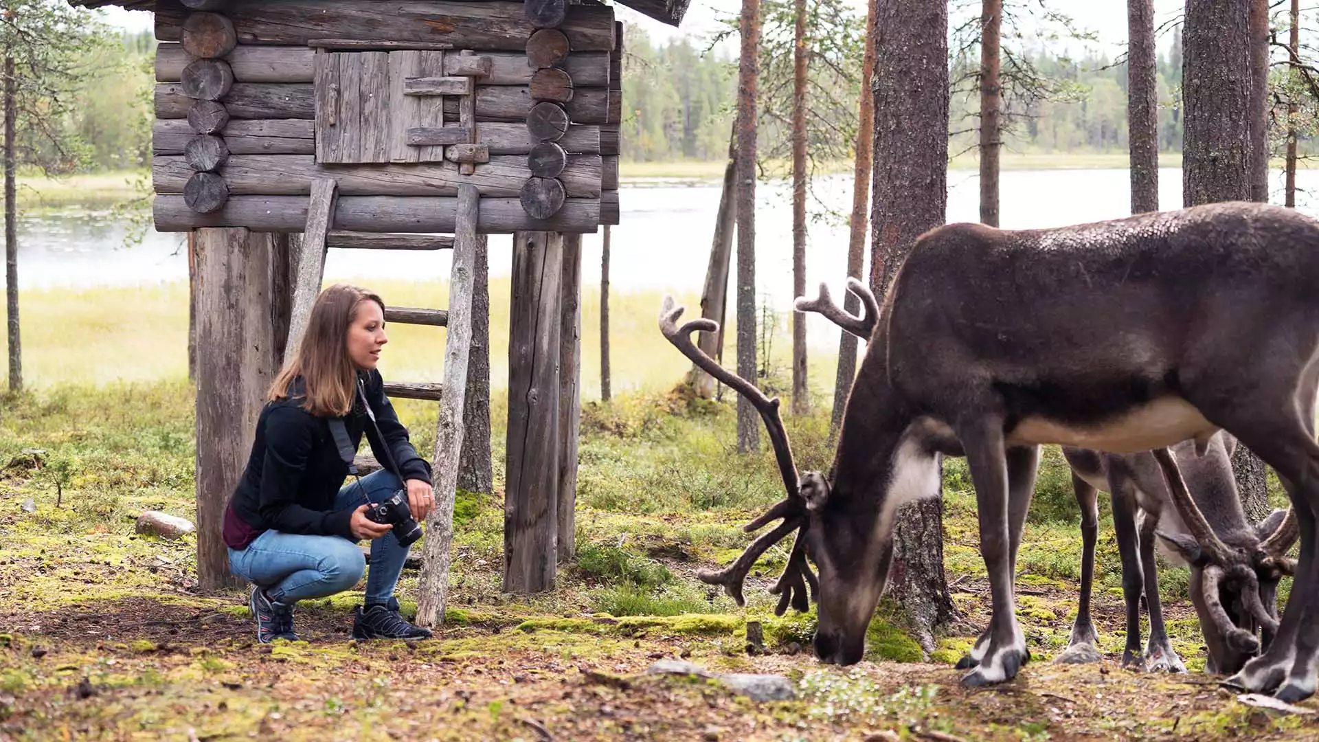 Jouw dag in Salla