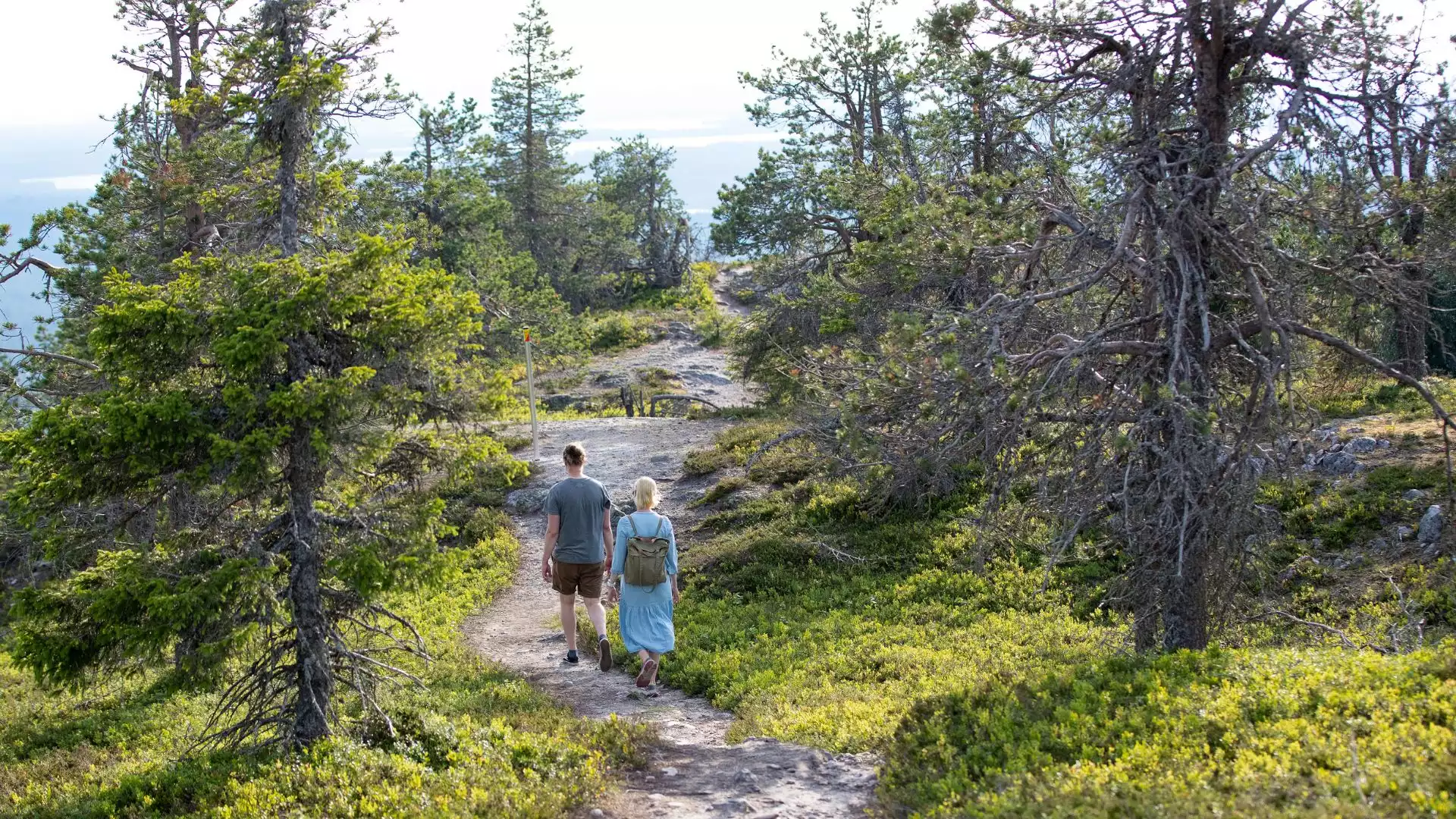 Wandelen in de wildernis van Urho Kekkonen