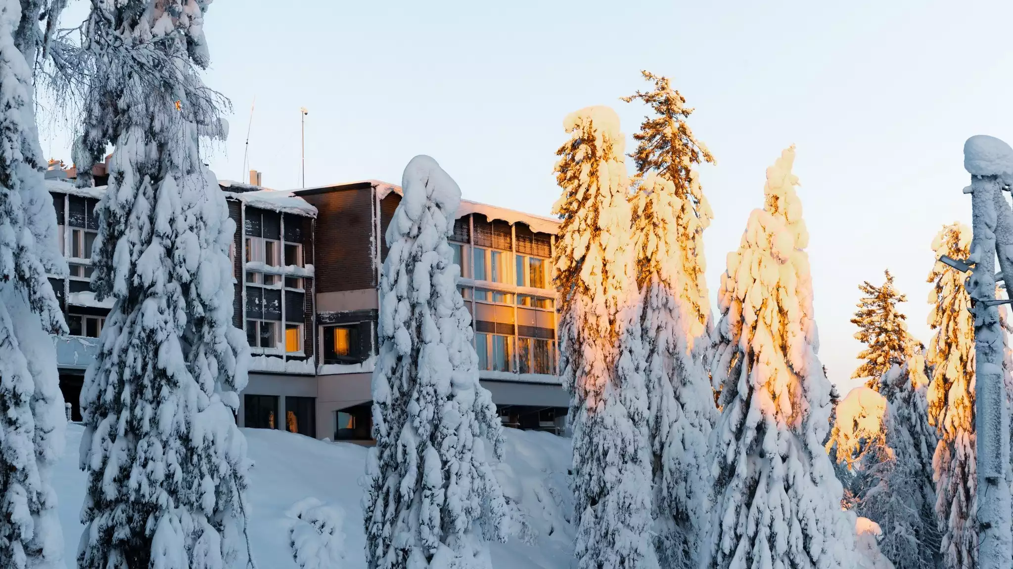 Winterse wonderen in Koli