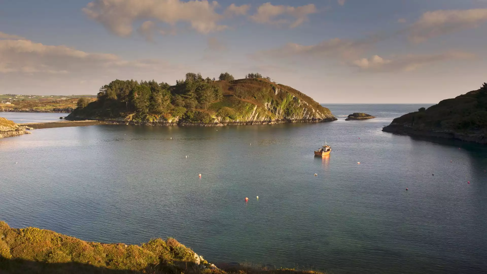 Lough Hyne, een betoverend zoutwatermeer