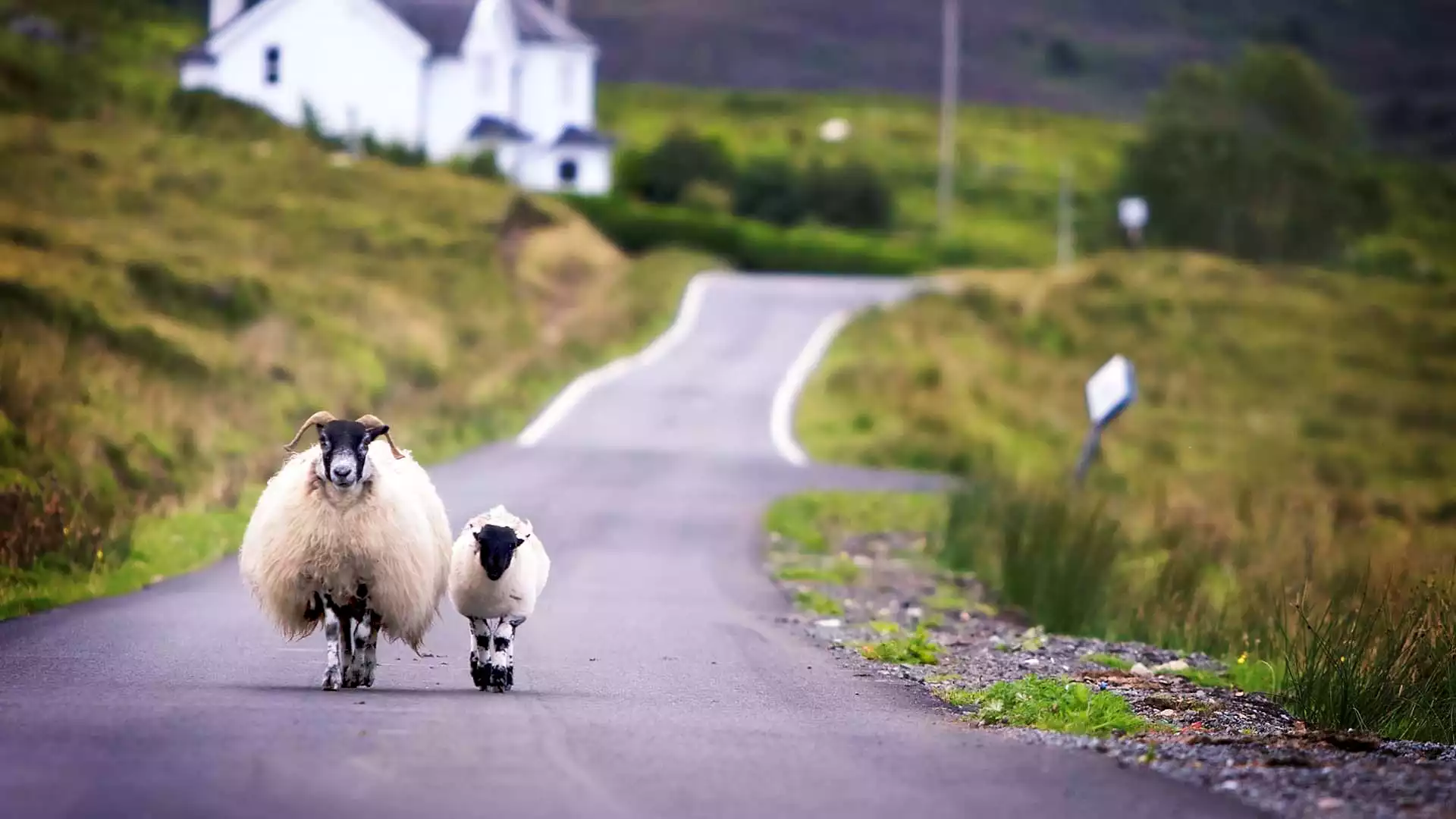 Je eerste verblijf in Abergavenny, Engeland