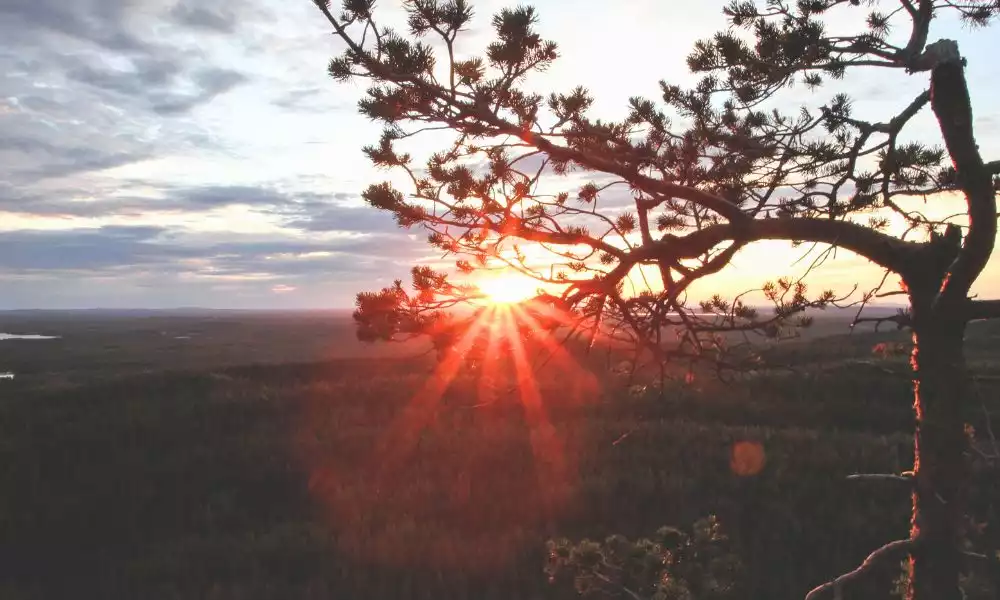 Middernachtzon hike naar Konttainen