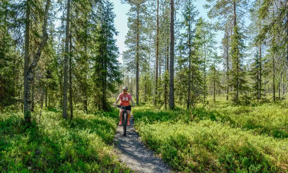 Verken Syöte Nationaal Park