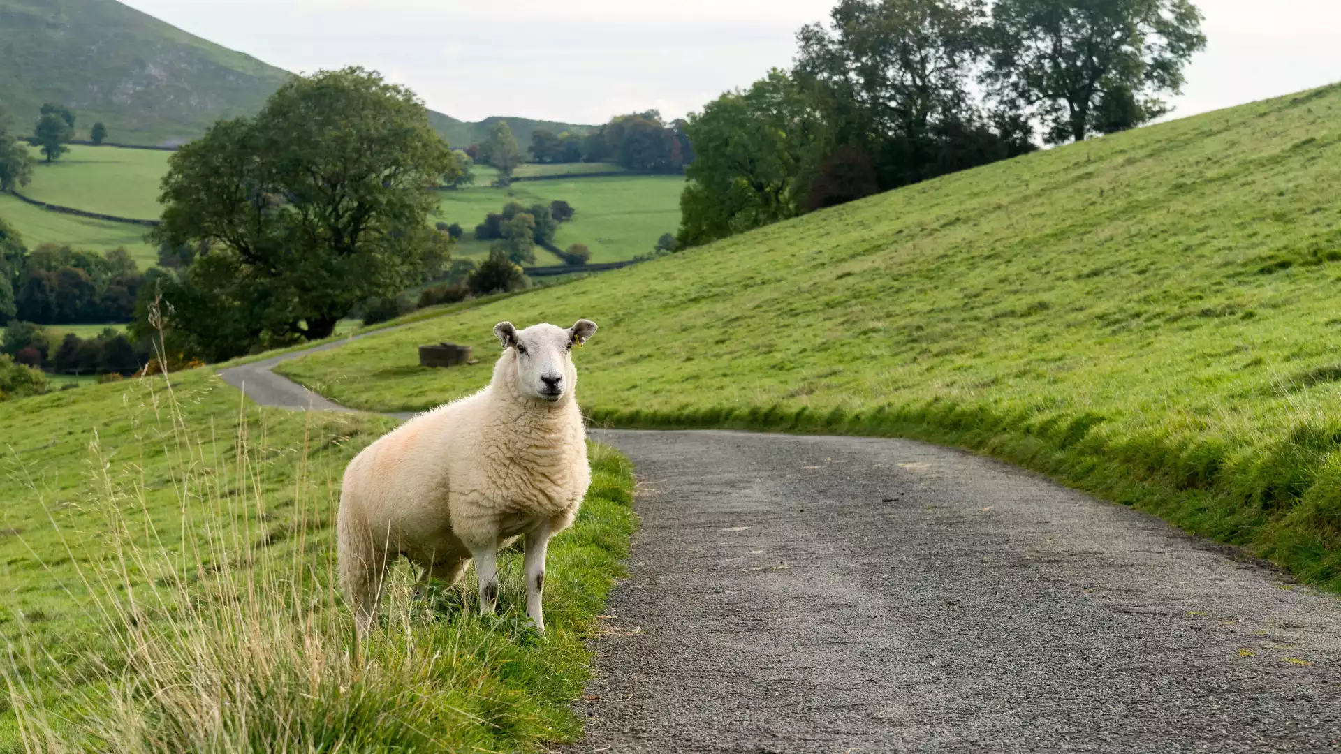 Langs de noordkust van Wick naar Tongue