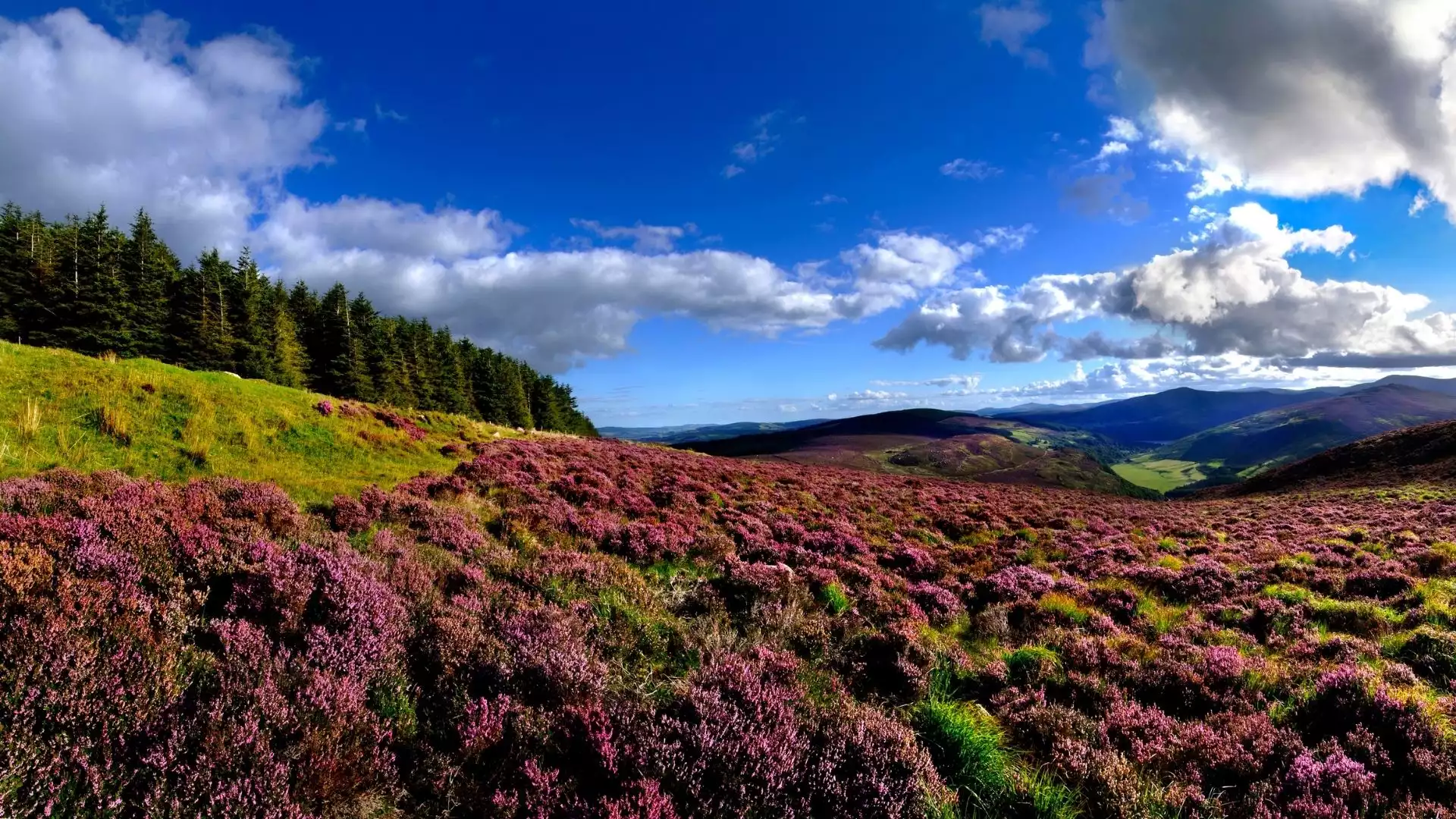 Aankomst in Dublin, op naar County Wicklow!