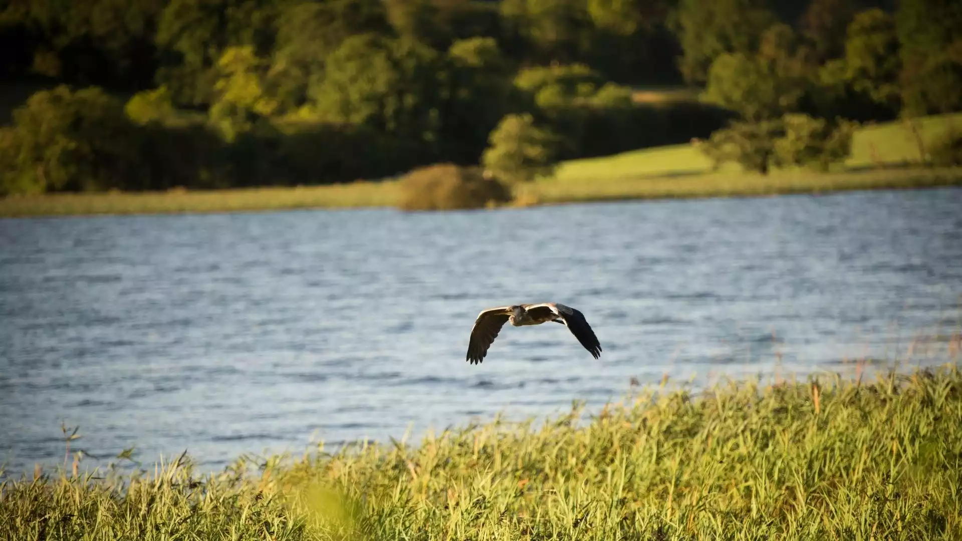 Rust, natuur en kasteelgeschiedenis rond Lough Rynn