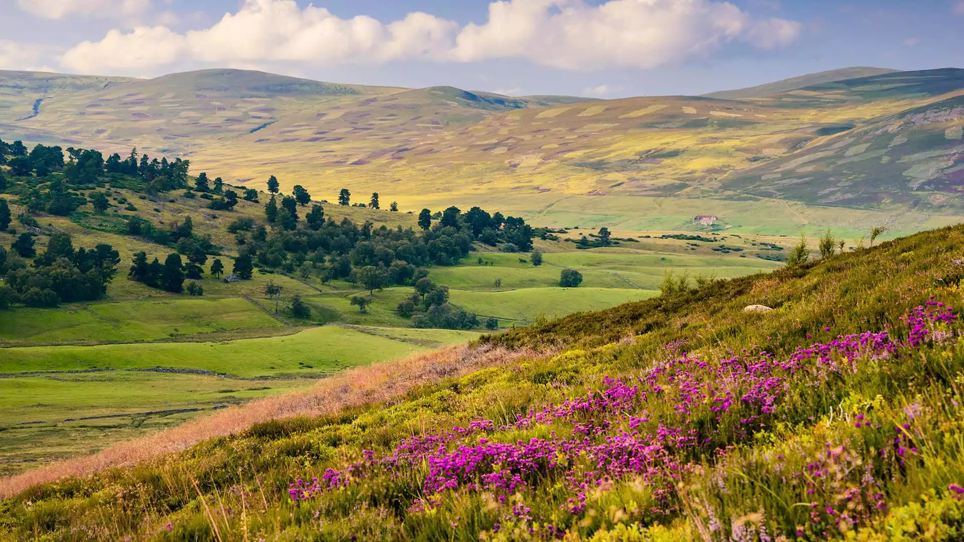 Het ruige Cairngorms National Park