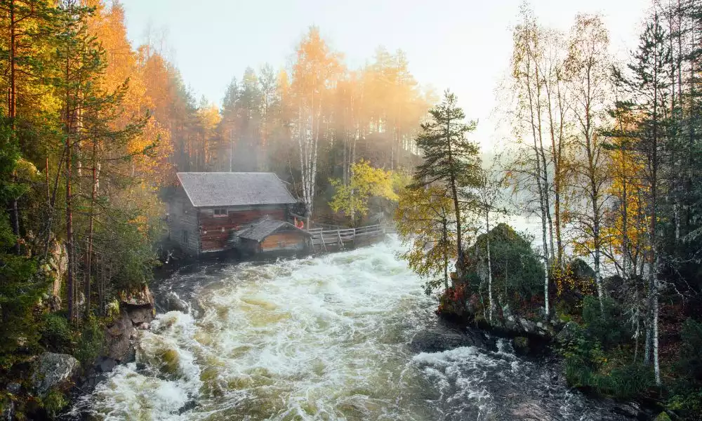 Wandel door Oulanka Nationaal Park
