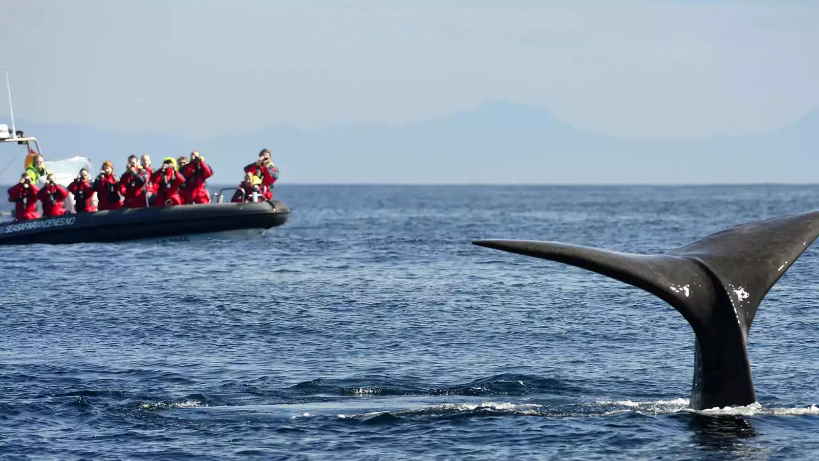 Vikingen en Trollfjord