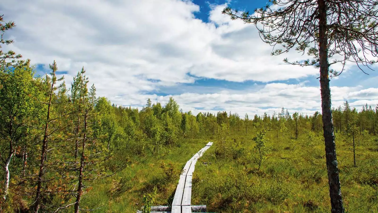 Wandelparadijs Urho Kekkonen