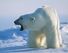 spitsbergen-oostkust