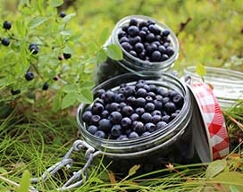 vuokatti-finse-natuur