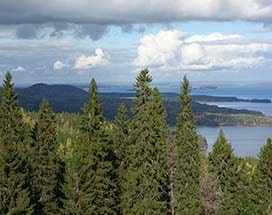 koli-halve-dag-nationaal-park