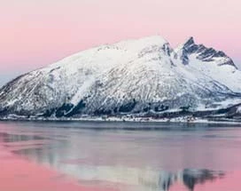 tromso-fjord-wildlife-cruise