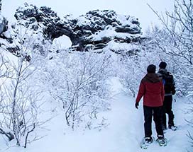 ijsland-myvatn-omgeving