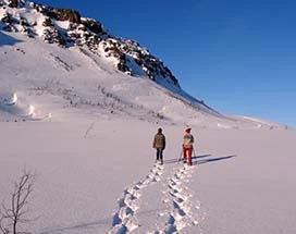 ijsland-sneeuwschoenwandelen-akureyri