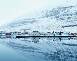 ijsland-arctic-coast-way-tour