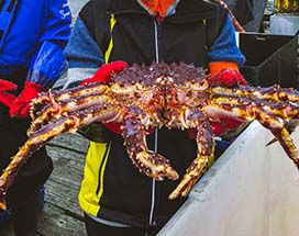 alta-fjord-kingcrab-safari-rib-boot