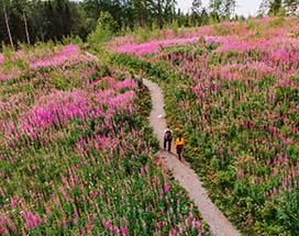 varjola-wandeling