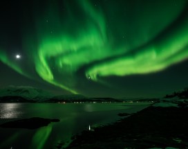 malangen-noorderlicht-fjordcruise