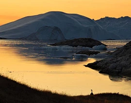 sermermiut%20icefjord%20wandeling%20excursie%20-%20small