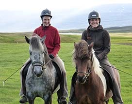 ijsland-ontmoeting-ijslandse-paarden