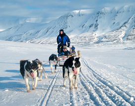 huskysafari%20door%20winterwonderland