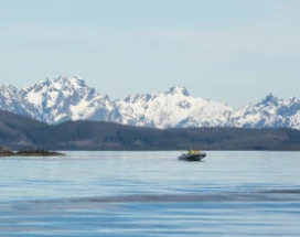 noorwegen-rib-boot-walvissafari-excursie