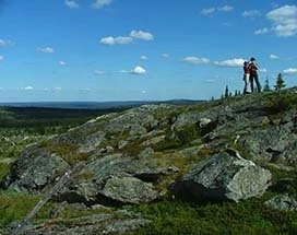 salla-zomer-4wd-tuntsa-wildernis