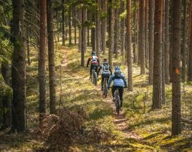 e-fatbike-tocht-door-de-wildernis-thumb