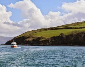 excursie-thumb-dingle