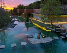 excursie-thumb-forest-lagoon-avond