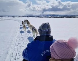 excursie-thumb-husky-safari-noord-ijsland