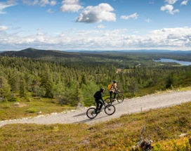 excursie%20thumb%20(1)