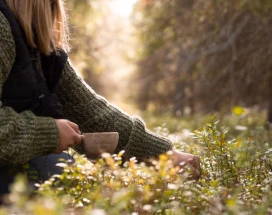 excursie-ontdek-de-kracht-van-de-natuur-thumb