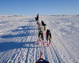 gargia-huskysafari-finnmark