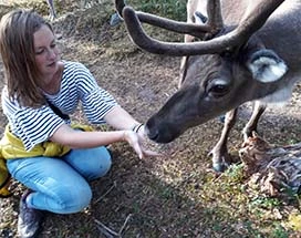 reindeer-park-rondleiding-salla