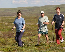 nuorgam-zomer-hiking