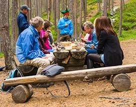 menesjarvi-zomer-rijkdommen-bos