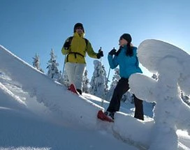 malangen-sneeuwschoenwandelen