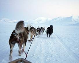spitsbergen-huskysafari-bolterdalen