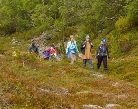 saariselka-zomer-diverse-activiteiten