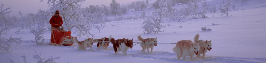 noorwegen-huskysafari-excursies-header