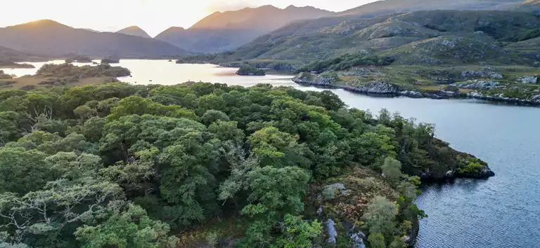 Dwars door Ierland met eigen auto | Voigt Travel