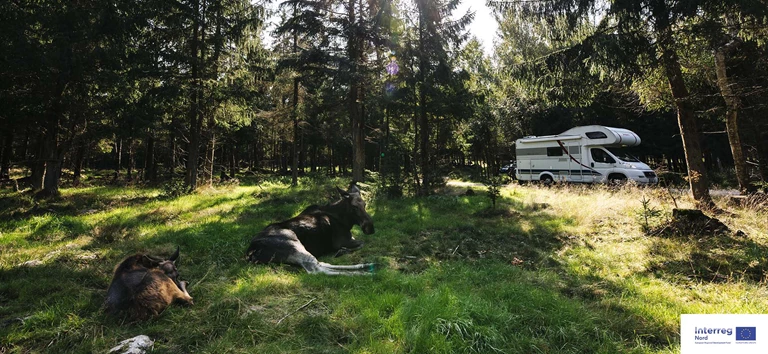 Camper Avontuur Lofoten en Lapland