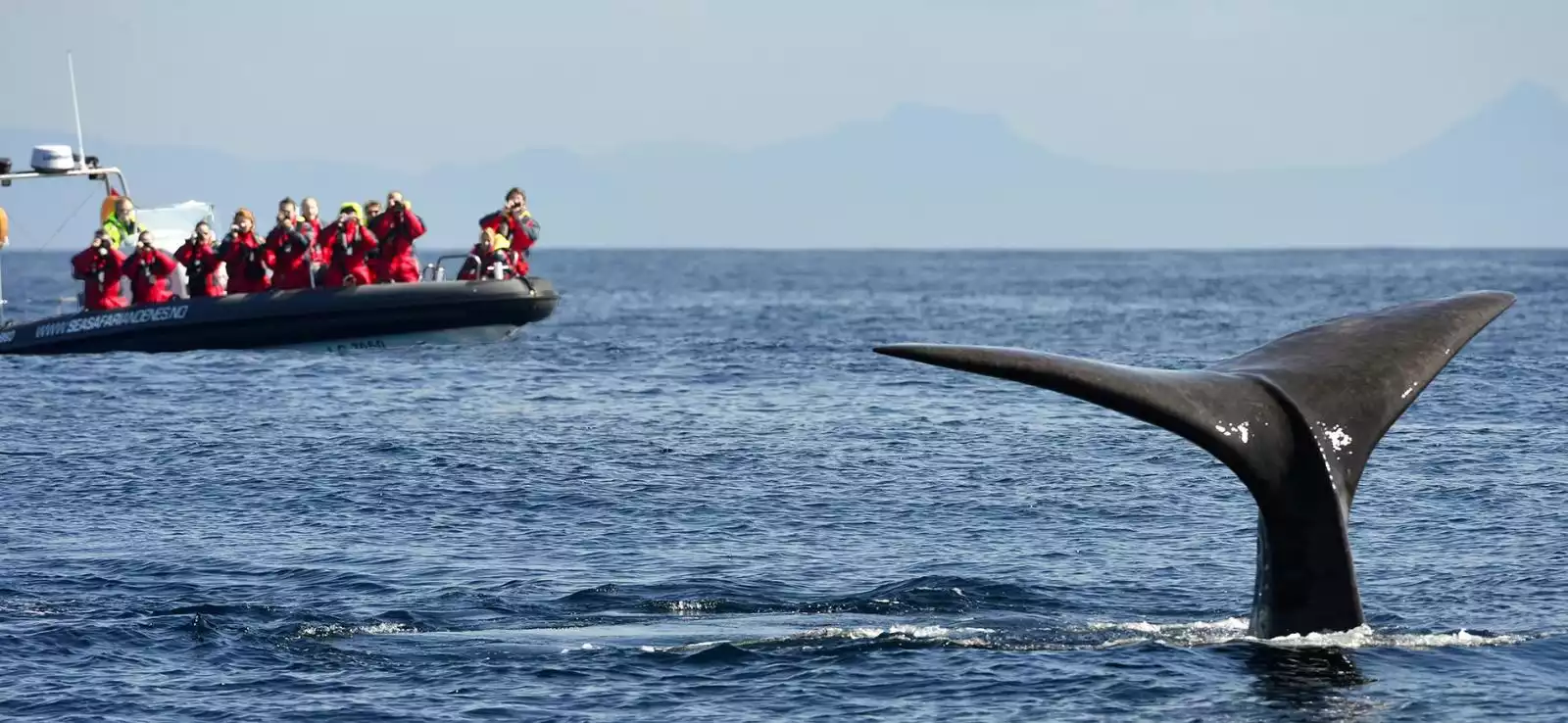 Dwars door Lapland en fjorden 